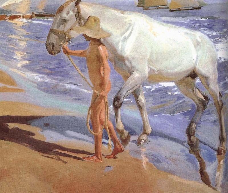Joaquin Sorolla Horse bath China oil painting art